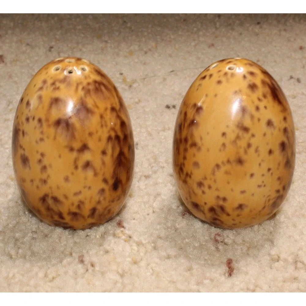 Ceramic Egg Shaped Speckled Salt and Pepper Shakers Set Kitchen Decor